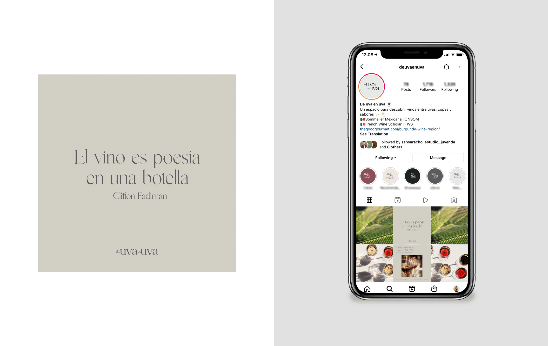 Francia Serrano Studio Proyectos