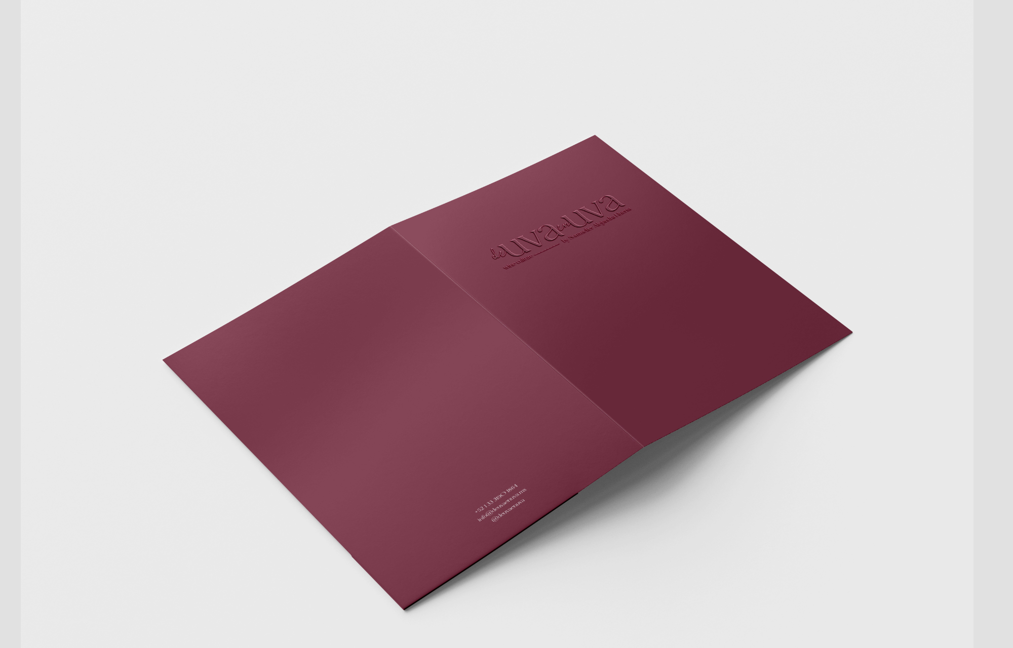 Francia Serrano Studio Proyectos