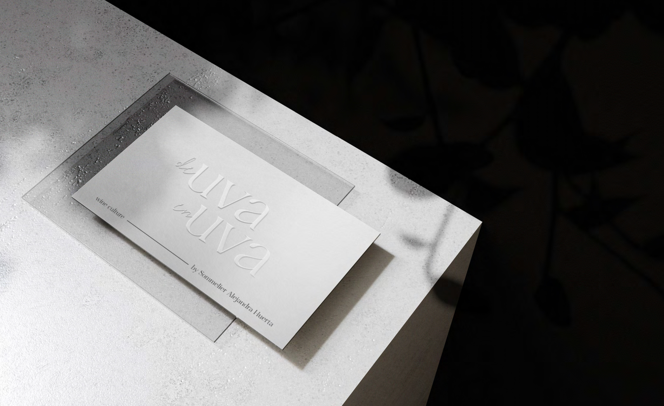 Francia Serrano Studio Proyectos