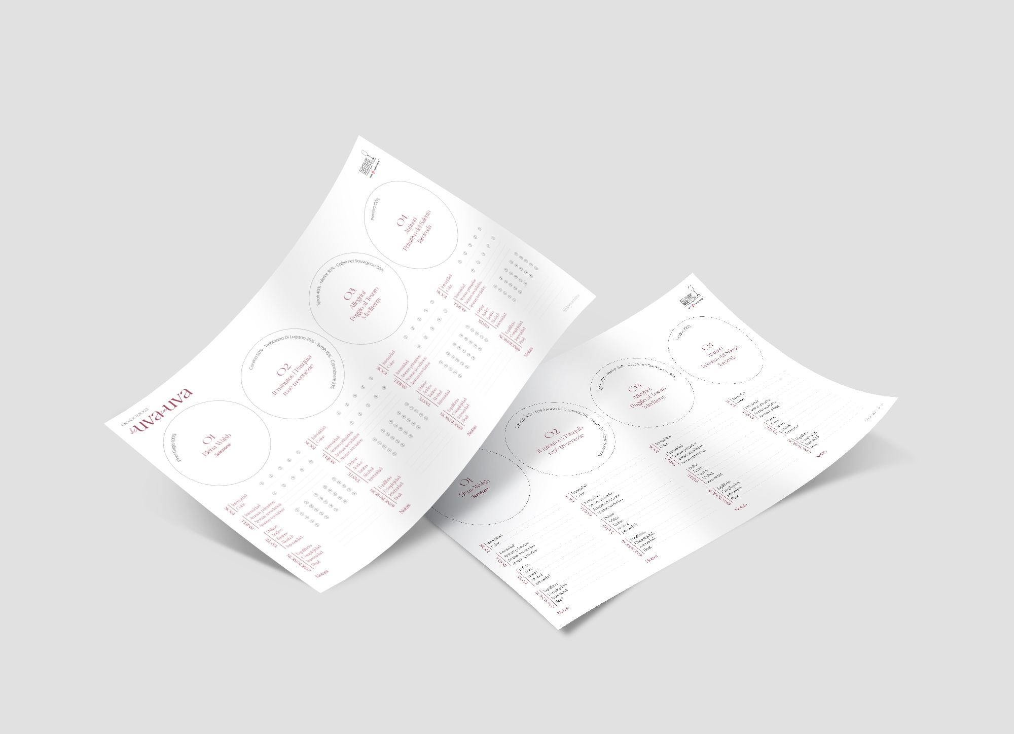 Francia Serrano Studio Proyectos