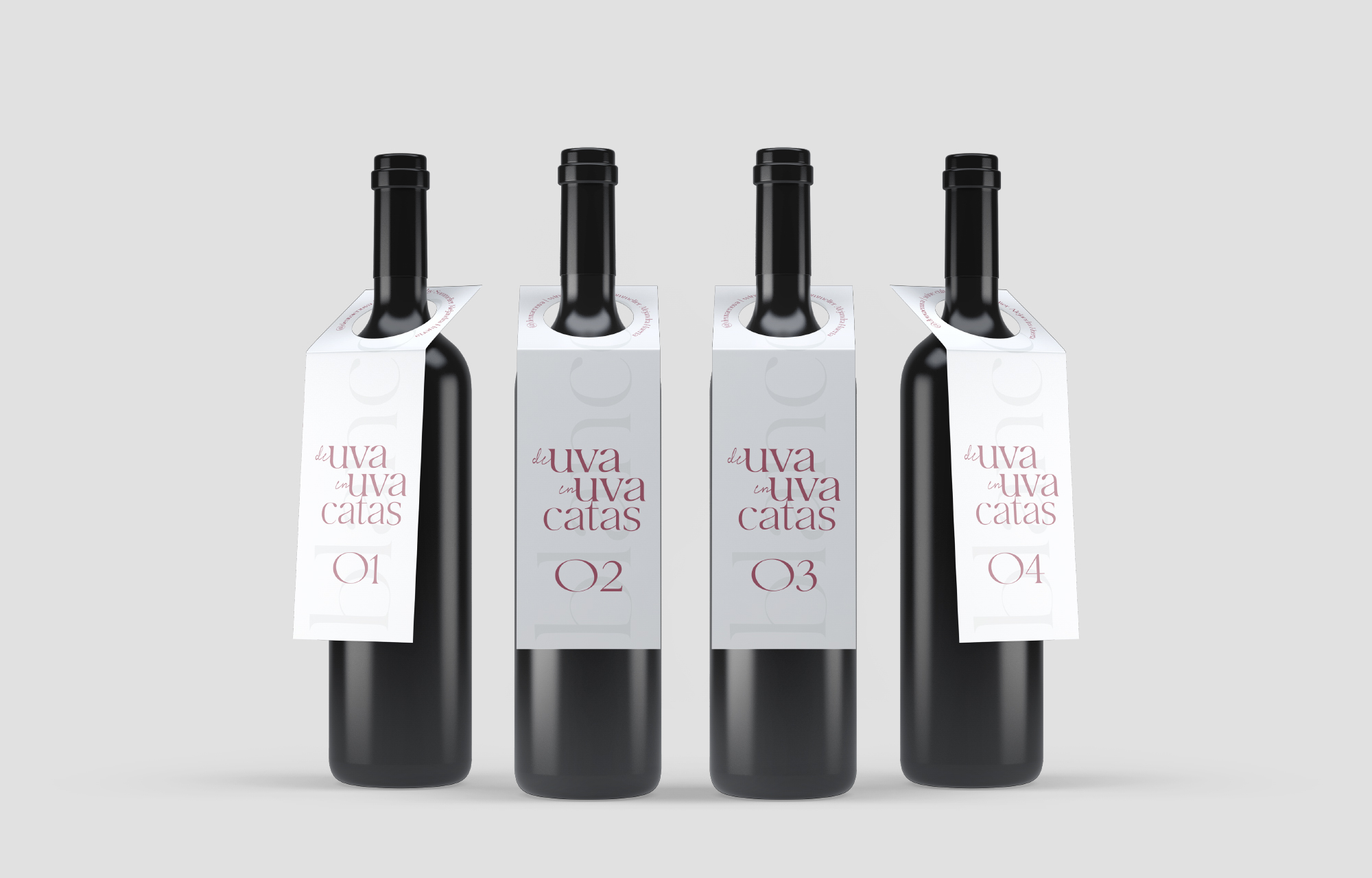 Francia Serrano Studio Proyectos