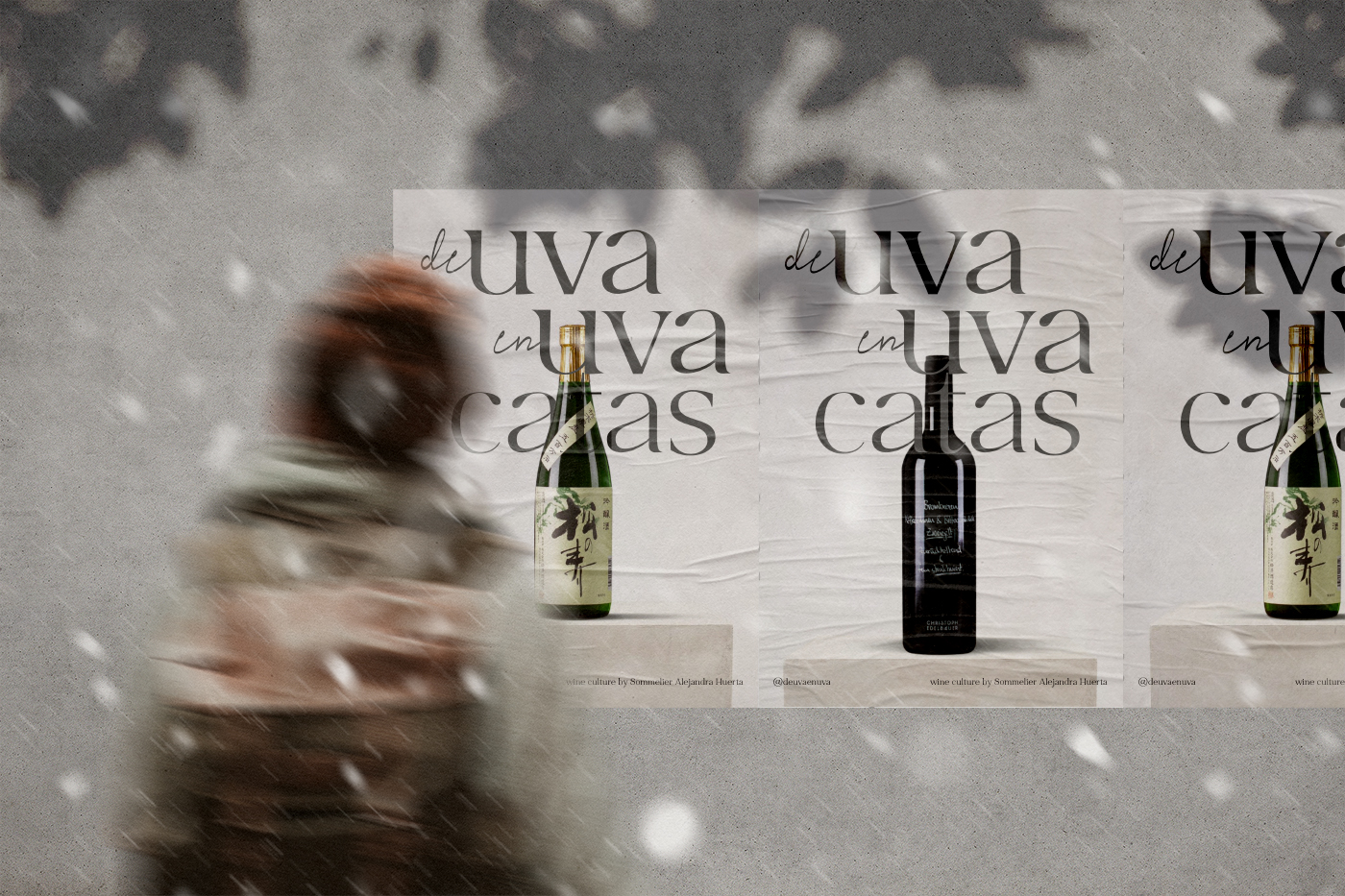 Francia Serrano Studio Proyectos