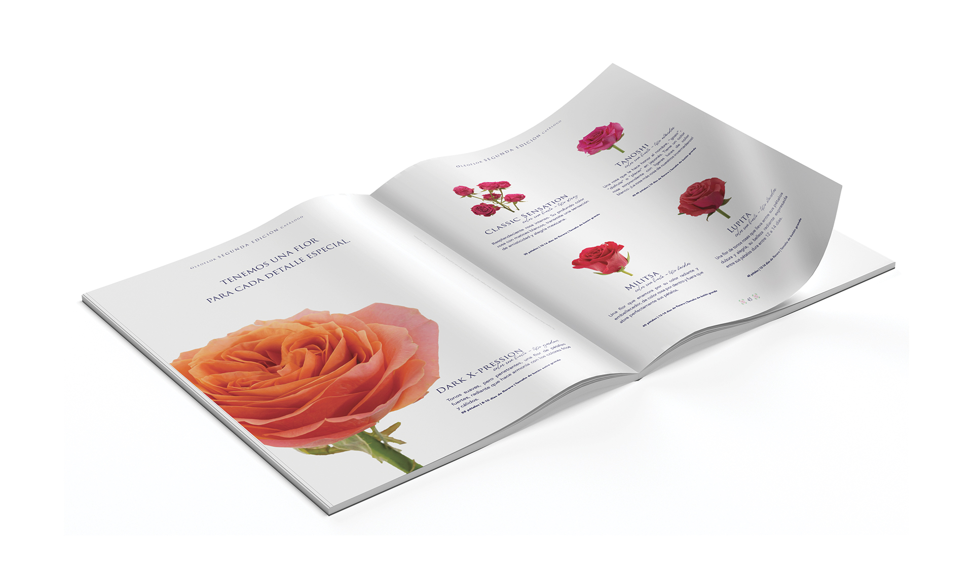 Oleoflor by Francia Serrano